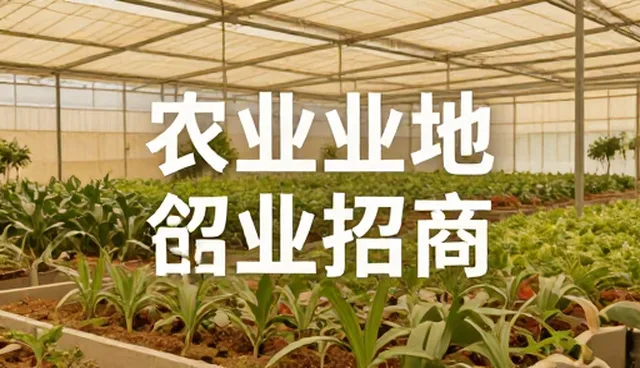 好网站制作公司：产品优化与招商推广服务包的实战应用