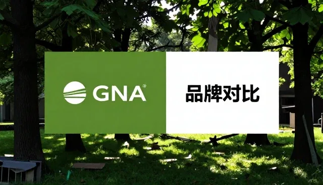 创建外贸网站:品牌对比中如何突出教育机构特色