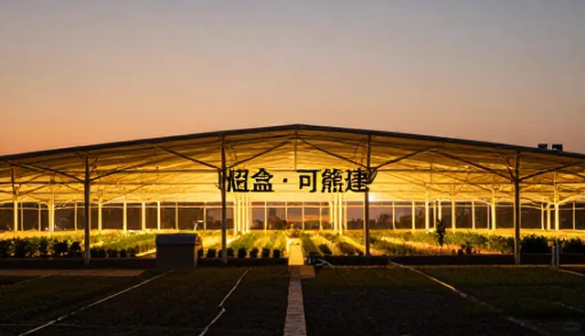 长沙建网站的适用情况与限制分析