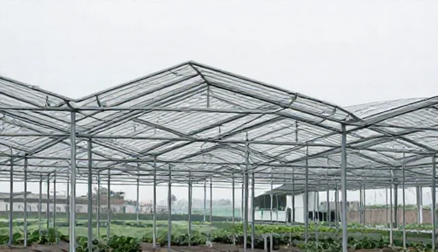 公众号版网站建设，如何通过招商推广服务包提升品牌影响力